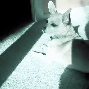 Meet your Posher, Debra